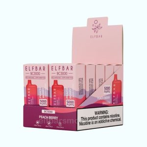 Elf Bar Disposable Vape 10-Pack